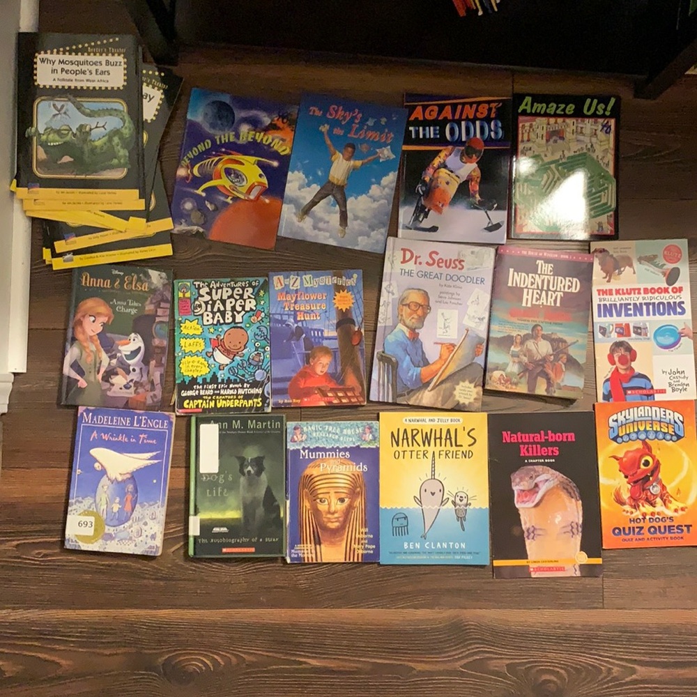 ‼️🎉28 book bundle middle school age
